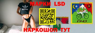 spice Бузулук